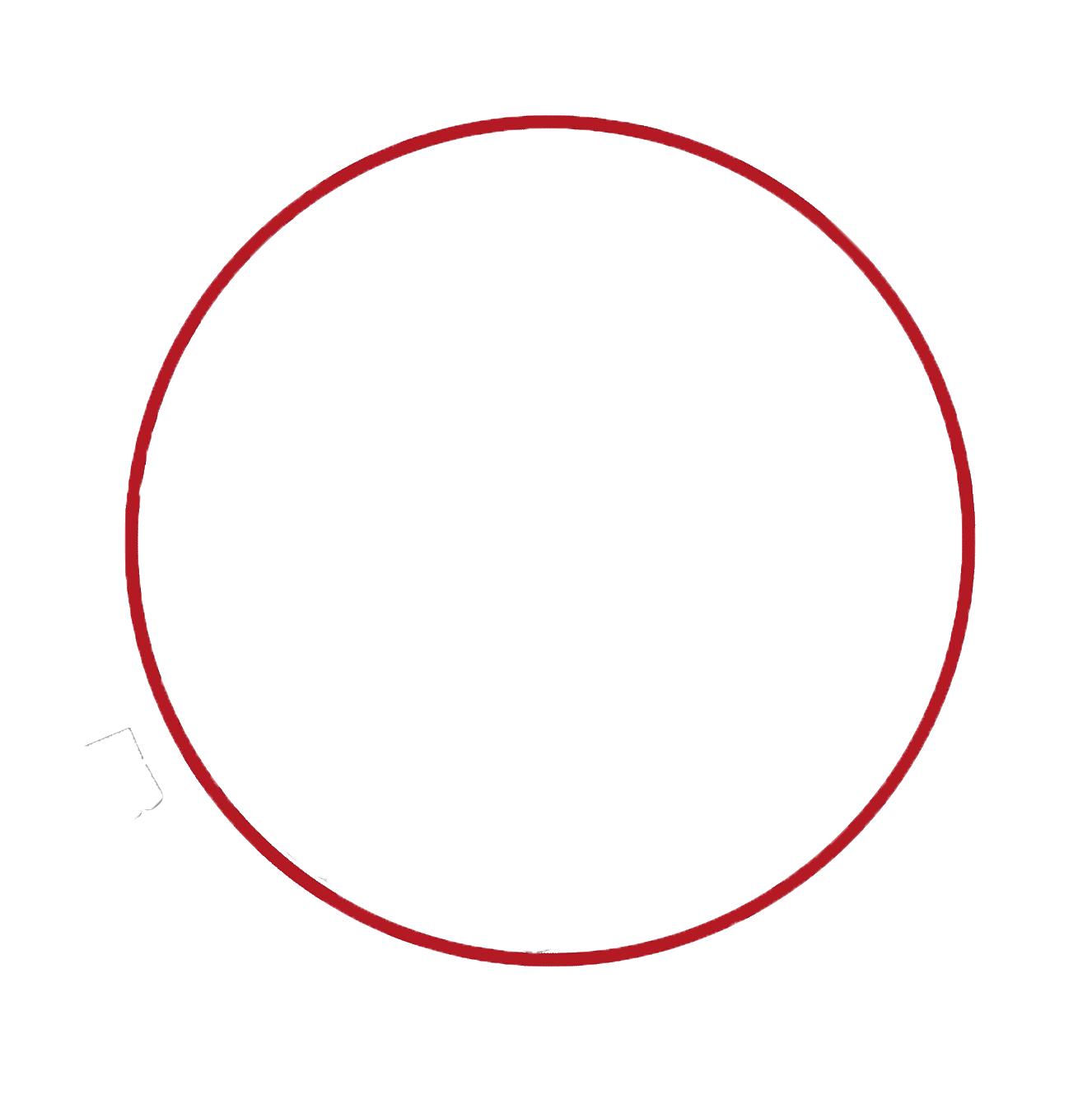 Esenler Arbor Vitae Veteriner Muayenesi